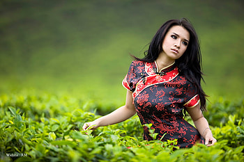 Pretty girl, sexy, model, graphy, face, beautiful, girl, woman, female HD wallpaper