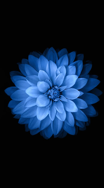 7 Original HD phone wallpaper