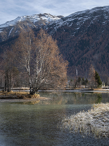 Nature, Water, Trees, Mountain, Lake HD phone wallpaper