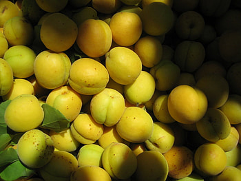 Fruits, Food, Lot, Apricots, Not Ripe HD wallpaper
