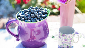 Blueberries , High-quality, Fresh, Superfood HD wallpaper