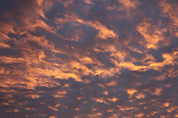 Nature, Sky, Pink, Clouds, Evening, Atmospheric HD wallpaper