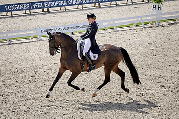 Dorothee Schneider, Dressage HD wallpaper