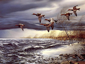 Flying, sea, birds, bird, art, sky, fly, tree HD wallpaper