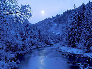Winter, Nature, Rivers, Trees, Sky, Moon, Shore, Hoarfrost, Frost, Shores HD wallpaper