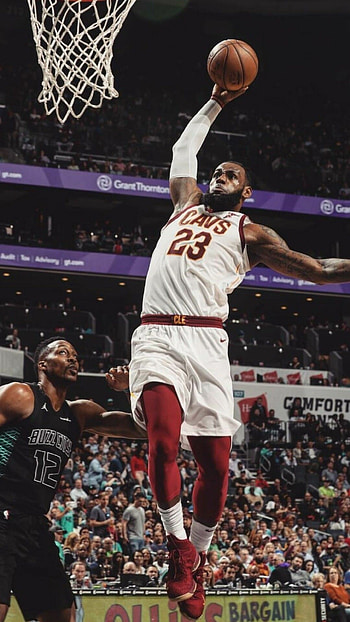 LeBron James, Basketball superstar, Athleticism, Team leadership HD phone wallpaper
