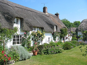 english cottage, english, garden, cottage, roses HD wallpaper
