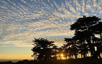 Sunset at San Francisco, california, clouds, trees, landscape, sky, usa HD wallpaper