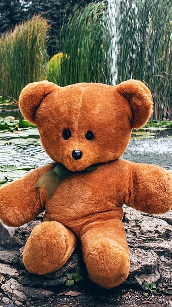 Teddy Bear Live, Brown Toy HD phone wallpaper