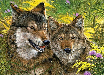 Wolves in the Flowers, flowers, painting, wolves, animals HD wallpaper