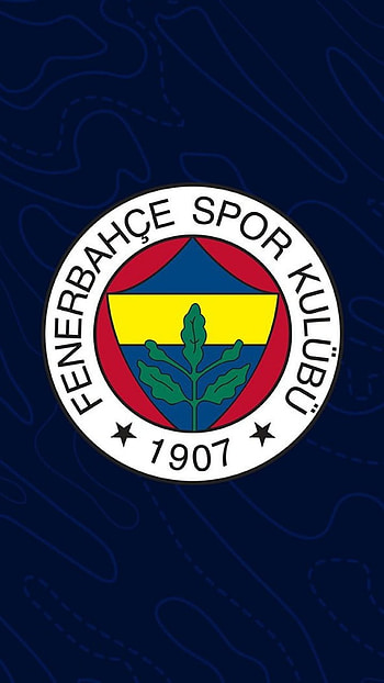 Fenerbahçe, fener, fenerbahce, football HD phone wallpaper