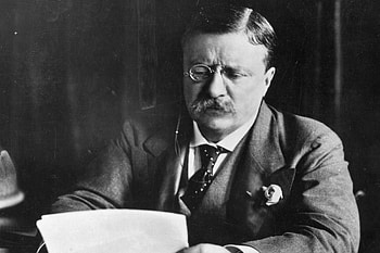 Theodore Roosevelt, Importance of critics, Opinions matter, Thought-provoking statement HD wallpaper