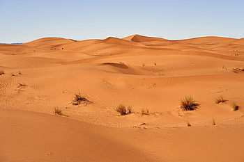 Nature, Grass, Sky, Sand, Desert, Dunes HD wallpaper