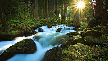 Forest Cascades, rocks, river, trees, cascades, waterfall, sun HD wallpaper