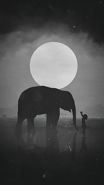 Girl and elephant, Friendship HD phone wallpaper
