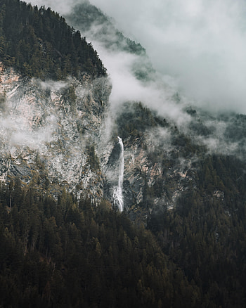 Nature, Trees, Clouds, Rocks, Fog, Spruce, Fir HD phone wallpaper