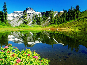 Lake Reflection, reflection, green, trees, sky, nature, lake, mountain HD wallpaper