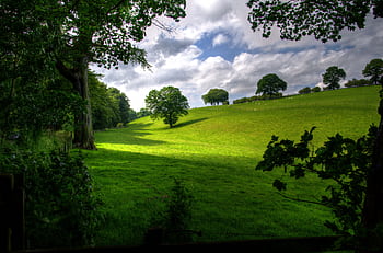 Vibrant green landscape featuring rolling hills, trees, and scattered clouds in a serene rural setting. HD wallpaper