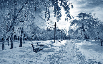 Winter Backgrounds HD wallpaper