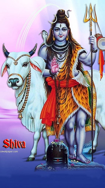 Best Lord Shiva, Blessings, Lord Shiva HD phone wallpaper