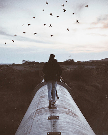 People, Birds, Miscellanea, Miscellaneous, Evening, Stroll, Mood HD phone wallpaper