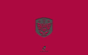 Fagiano Okayama, purple background, Japanese football team, Fagiano Okayama emblem, J2 League, Japan, football, Fagiano Okayama logo HD wallpaper