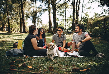 Friends having a fun picnic in the park with a Shih Tzu, enjoying a sunny day outdoors. HD wallpaper
