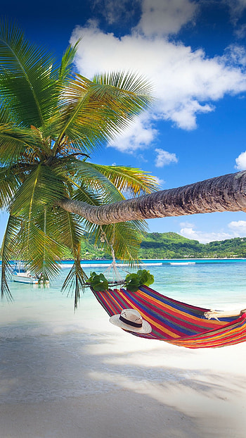 Tropical paradise beach, Palm trees, Hammock, Windows 10 spotlight HD phone wallpaper