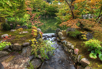 Nature, Rivers, Stones, Vegetation, Moss, Garden, Pond, From Above, Above, Threshold HD wallpaper