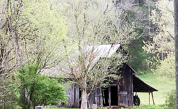 Hailburn, Tennessee, Architecture, Farm, Rural, Barn HD wallpaper