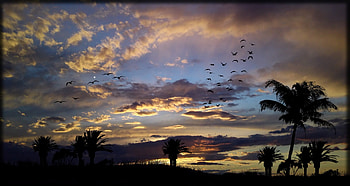 sky make u happy, blue, sky, nature, sunset HD wallpaper