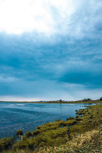 Nature, Grass, Sky, Clouds, Horizon, Lake, Shore, Bank HD phone wallpaper