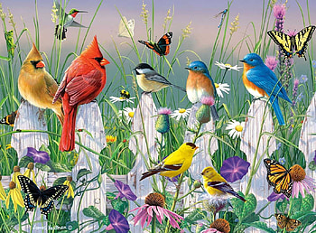 Birds and Butterflies, butterflies, nature, birds, fence HD wallpaper