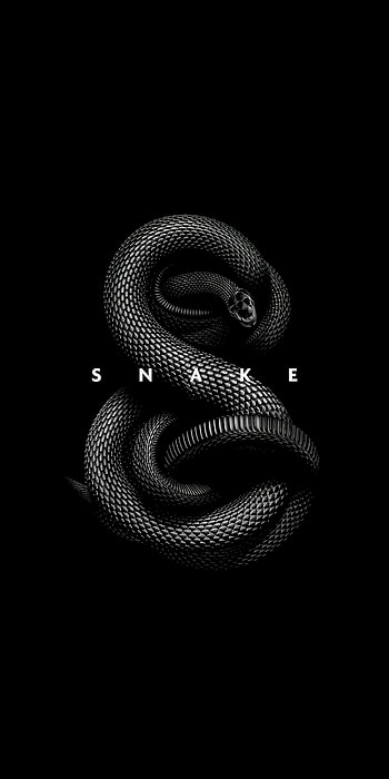 Snakes, eye, jaw HD phone wallpaper