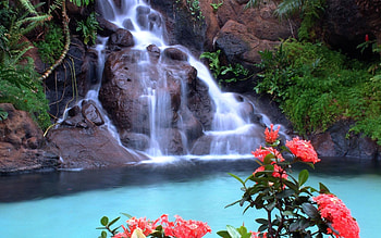 Landscape, Nature, Waterfalls HD wallpaper
