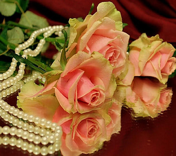 Pink flowers, pink, lovely, chains, flower HD wallpaper