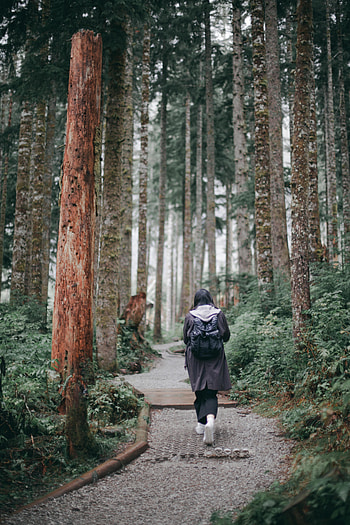 Miscellanea, Miscellaneous, Forest, Path, Girl, Loneliness, Alone, Lonely HD phone wallpaper