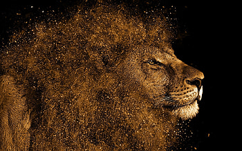 Lion art on MacBook Pro, Retina display, Stunning visuals, Artistic HD wallpaper