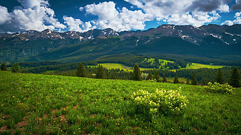 Green landscape and a beautiful day in the Rocky Mountains, wildflowers, clouds, trees, landscape, sky, usa, Colorado HD wallpaper