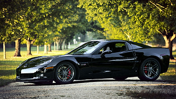 chevrolet corvette, black, nature, cars HD wallpaper