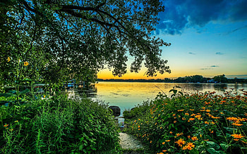 Morning Sunrise, trees, sky, flowers, lake, colors HD wallpaper