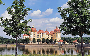 Moritzburg Castle in Germany, reflection, Moritzburg, trees, Germany, castle, lake HD wallpaper