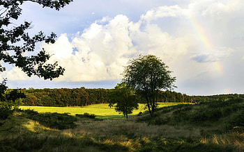 A summer rainbow from NW Arkansas, field, trees, clouds, landscape, sky, usa HD wallpaper
