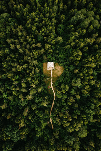 Hut, aerial view, road in forest, green trees HD phone wallpaper