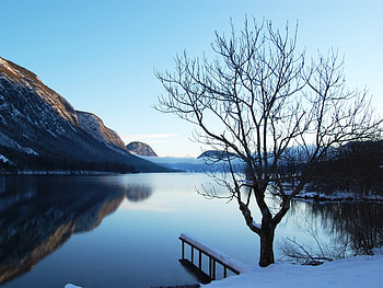 Shadows of winter, reflection, lake, tree, mountain HD wallpaper