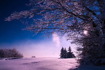 Winter Snow Sunset Dusk Sky Clouds Landscape, winter, snow, sunset, dusk, sky, clouds, landscape HD wallpaper