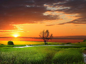 Beautiful Sunset, cool, beautiful, , sunset HD wallpaper