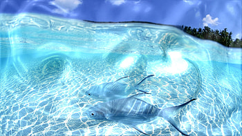 Live And Screensavers For Windows 10,8,7 regarding Live Wall Papers HD wallpaper