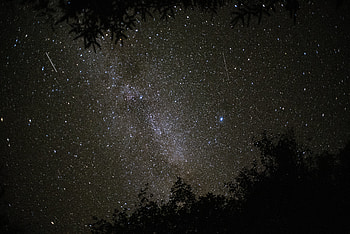 Universe, Stars, Dark, Branches HD wallpaper