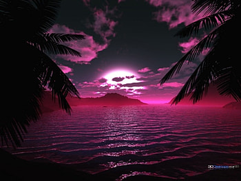 Midnight, palms, purple, set, ocean HD wallpaper
